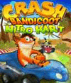 Crash nitro kart2